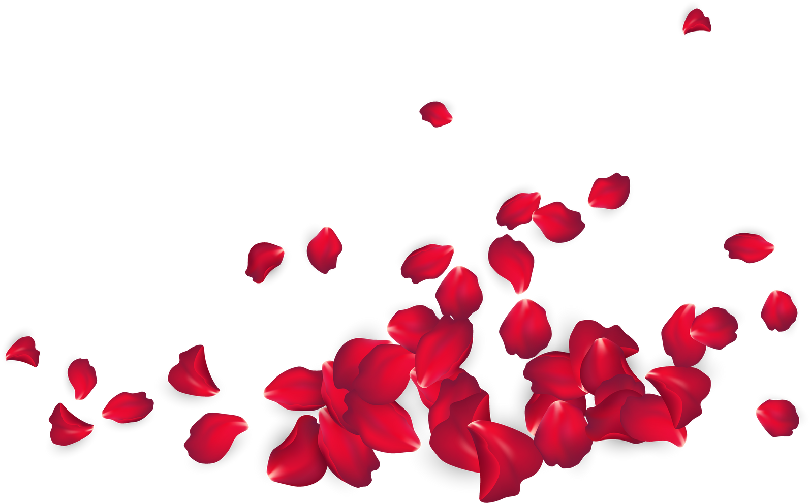 Rose Petals Design Element